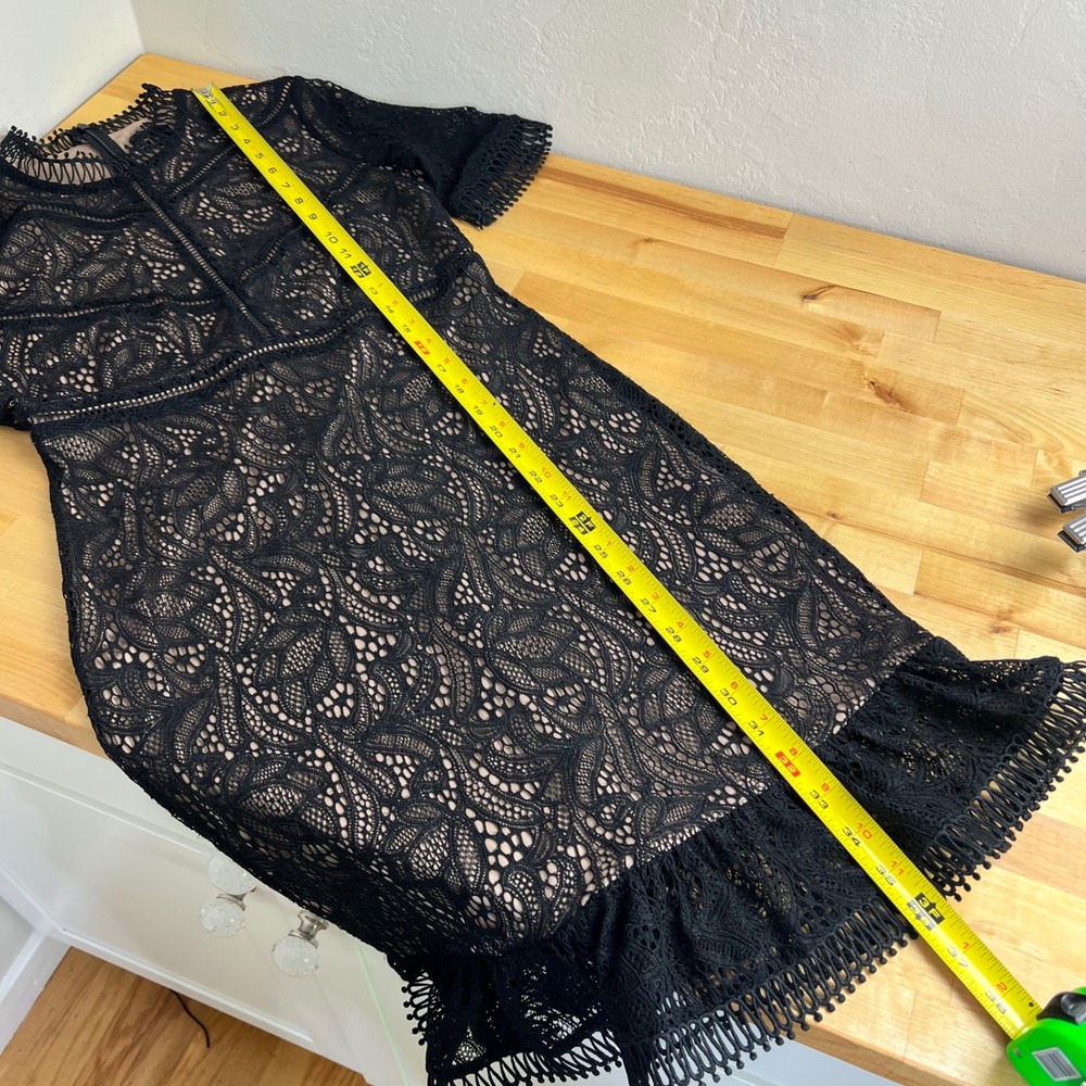 Bardot Black Lace Mock Neck Knee Length Dress Sheath Theodora‎ Size 8 / Medium - Picture 12 of 12